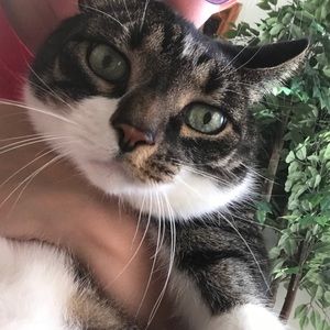 Meet your Posher, Claire